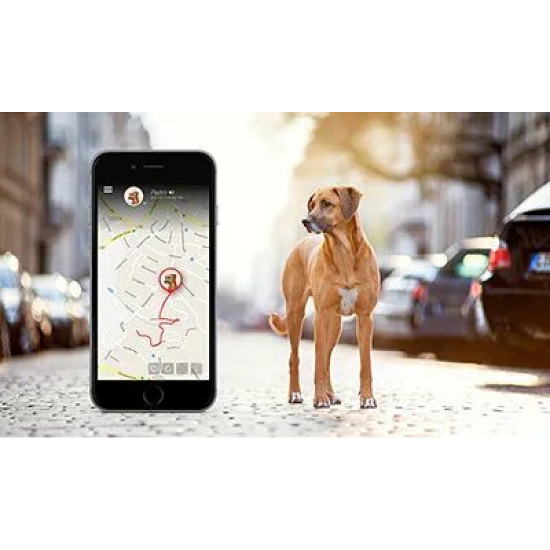 GPS-трекер с ошейником для животных Pet GPS Tracker